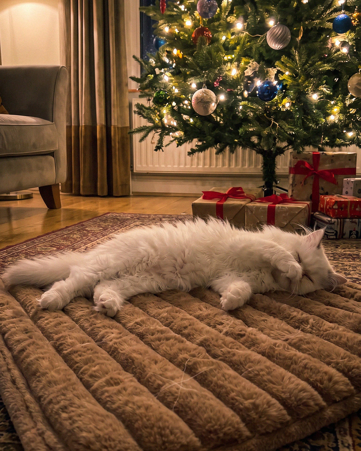 White Persian cat asleep on the mat beside a Christmas tree