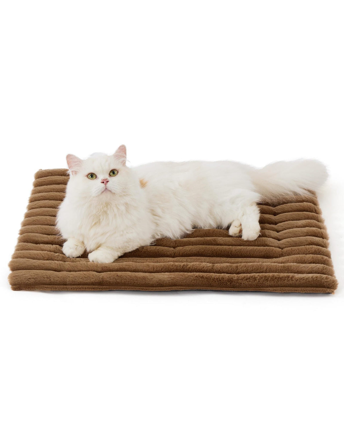 White cat resting on the brown corduroy mat