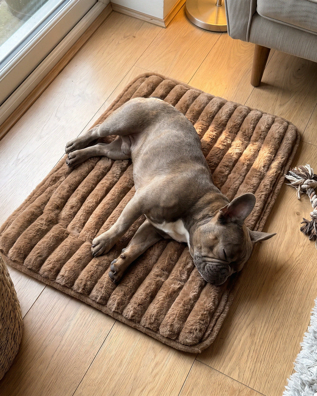 French bulldog asleep on the ToastyPaw self-warming mat in a sunny living room